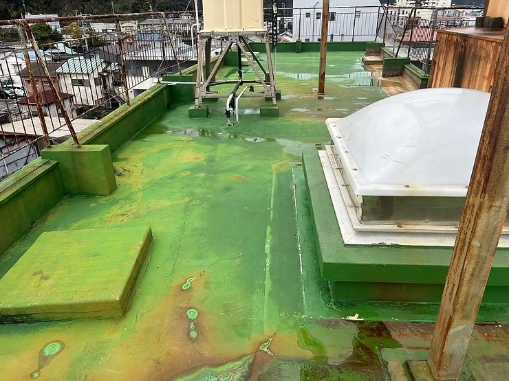 屋上防水（サラセーヌQV工法） 高圧洗浄完了
